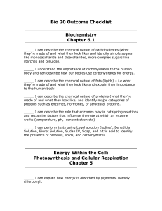 Bio 20 Outcome Checklist Biochemistry Chapter 6.1 Energy Within