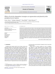 Effects of activity-dependent strategies on regeneration and