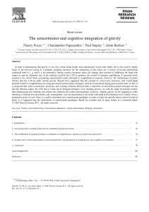 The sensorimotor and cognitive integration of gravity