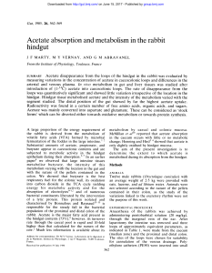 Acetate absorption and metabolism in the rabbit hindgut