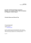 Economic and financial impacts of natural disasters: An assessment