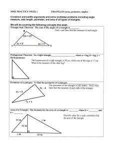 MME PRACTICE WEEK 1 TRIANGLES (area, perimeter, angles