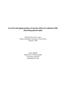 Growth and pigmentation of marine infrared radiation (IR) absorbing