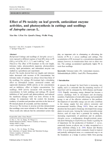 Effect of Pb toxicity on leaf growth, antioxidant enzyme activities, and