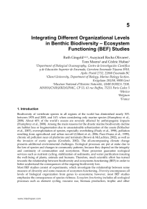 Integrating Different Organizational Levels in Benthic Biodiversity