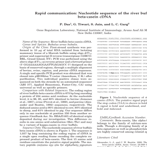 Rapid communication: Nucleotide sequence of the river buffalo beta