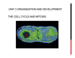 THE CELL CYCLE AND MITOSIS UNIT 3 ORGANIZATION AND