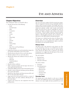 Eye and Adnexa - The Coding Store