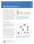 GATA2 Deficency