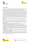 the junior version pdf file