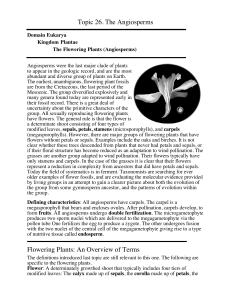 Topic 26. The Angiosperms