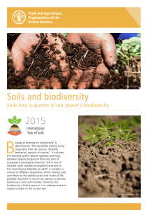 Soils and biodiversity - Food and Agriculture Organization of the