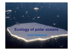 Ecology of polar oceans