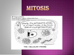 Cell Reproduction