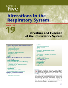 Structure and Function of the Respiratory System