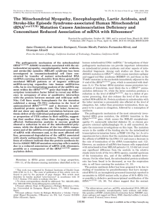 The Mitochondrial Myopathy, Encephalopathy, Lactic Acidosis, and