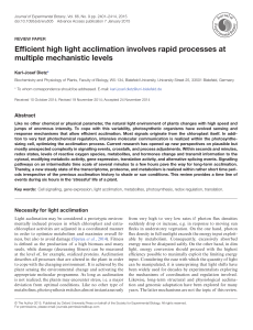 Efficient high light acclimation involves rapid