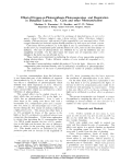 Effect of Oxygen on Photosynthesis, Photorespiration and Respiration