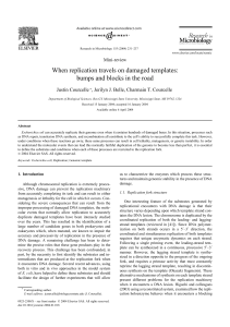 When replication travels on damaged templates: bumps and blocks