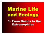 1. From Basics to the Extremophiles