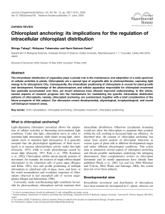 Chloroplast anchoring: its implications for the