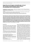 Rapid Structural Changes and Acidification of Guard Cell Vacuoles