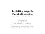 Partial Discharges in Electrical Insulation