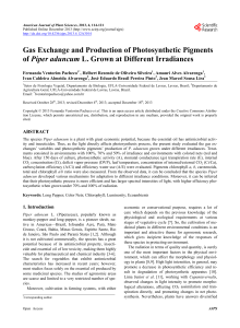 Gas Exchange and Production of Photosynthetic Pigments of Piper