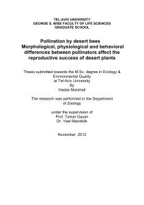 Pollination by desert bees Morphological, physiological and
