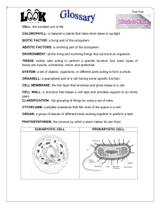 CELL: the smallest unit of life. CHLOROPHYLL: a material in plants