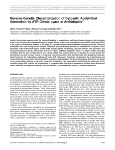 Reverse Genetic Characterization of Cytosolic