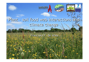 Plant – soil food web interactions and climate change Plant