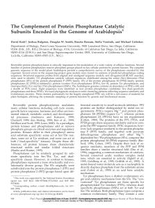 The Complement of Protein Phosphatase