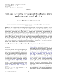 Finding a face in the crowd: parallel and serial neural mechanisms
