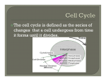 Cell characteristics