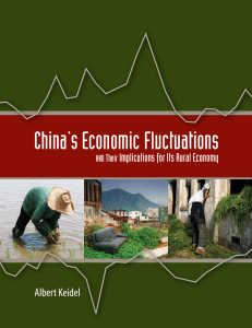 China`s Economic Fluctuations