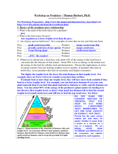 Workshop on Predation – Thomas Herbert, Ph.D. I. Basics of the