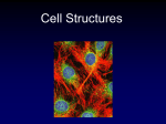 Cell Structures