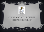 Organic molecules (biomolecules)