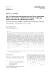 The DNA chromatin condensation expressed by the image optical