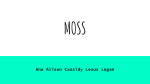 Moss (Block A)
