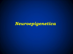 Neuroepigenetica