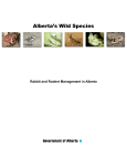 Rabbit and Rodent Management in Alberta
