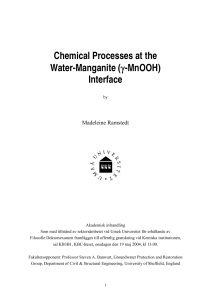 Chemical Processes at the Water-Manganite (γ-MnOOH