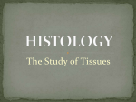 The Study of Tissues