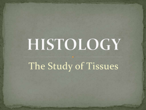 The Study of Tissues
