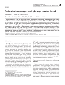 Endocytosis unplugged: multiple ways to enter the cell