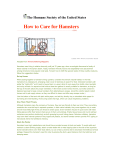 Exotic Article-How to Care for Hamsters-HSUS