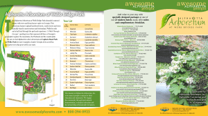 Webb Bridge Park Arboretum Brochure