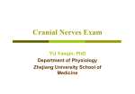 cranial nerve examination